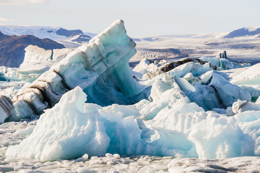 Discovering Ancient Forests Hidden Beneath Glaciers