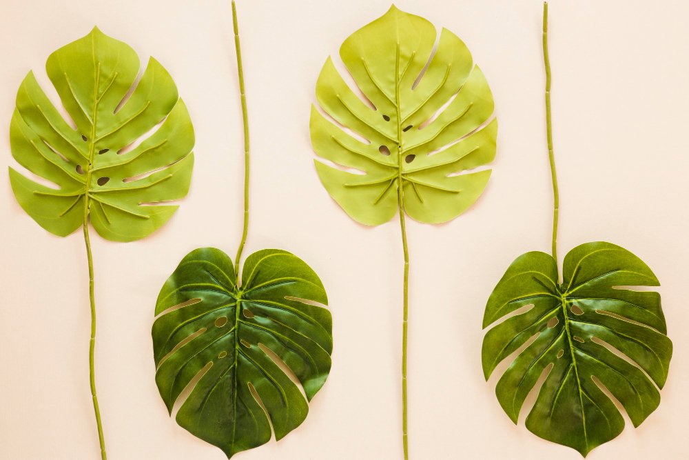 First Artificial Leaf Successfully Created